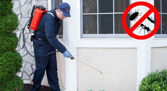 Senirkent Dezenfeksiyon böcek ilaçlama ve haşere kontrolü — ilaclama-tr.com